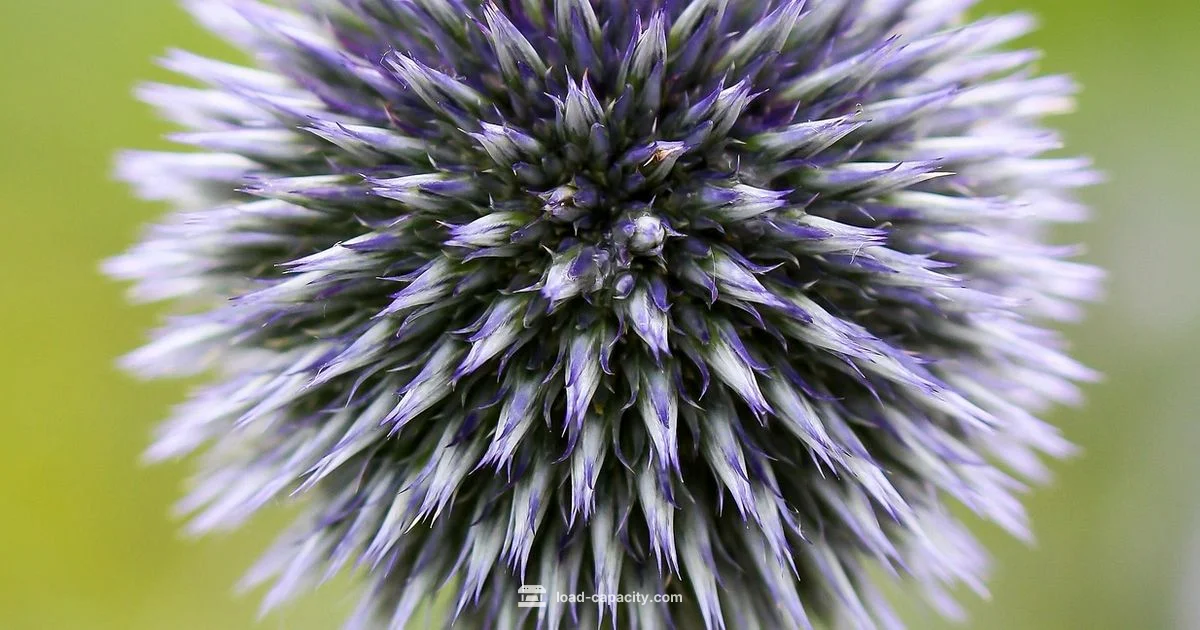 Spherical Bearing Load Spherical Bearing Load - Load Capacity