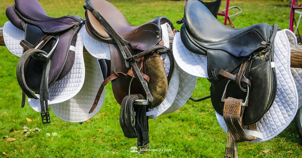 Saddle Carry Capacity - Load Capacity