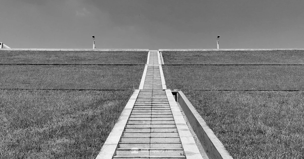 Gorilla 300 Capacity - Load Capacity