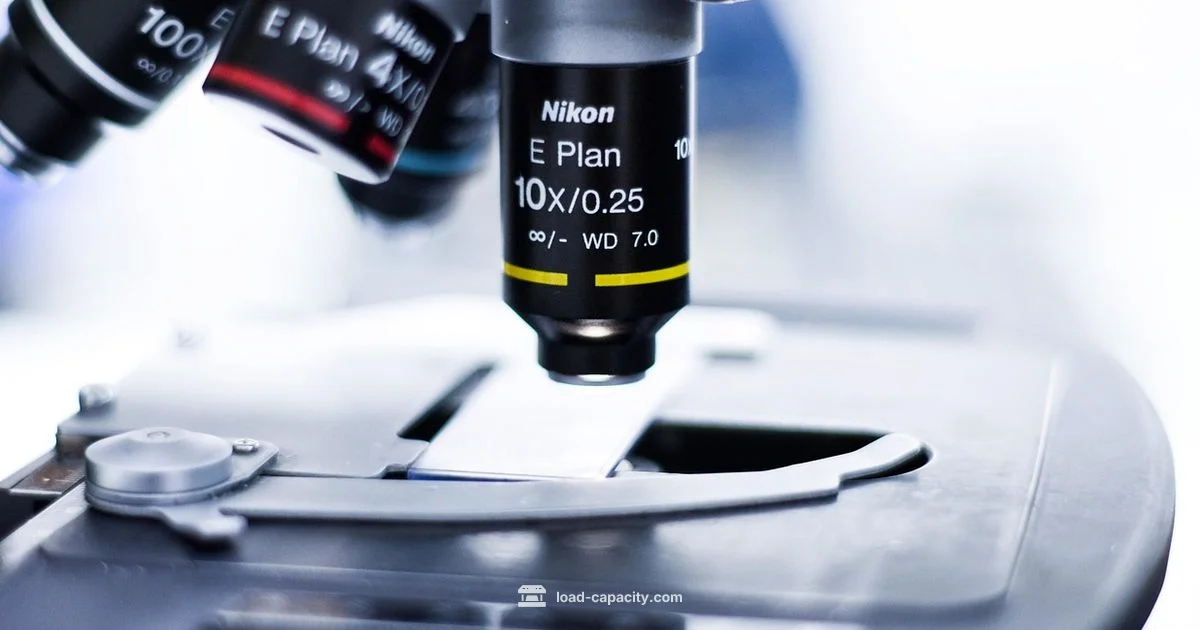 Perceptual Load vs Processing - Load Capacity