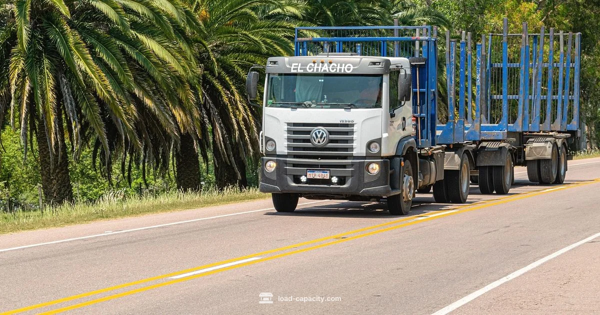 Truck Wheel Load - Load Capacity