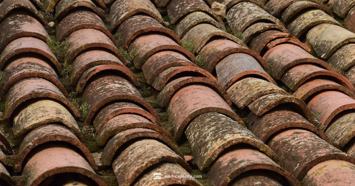 C Purlin Load Capacity C Purlin Load Capacity