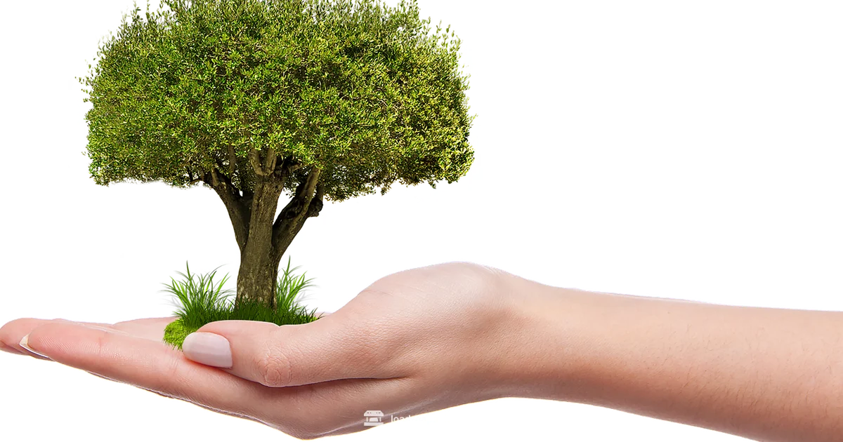 Carrying Capacity Growth - Load Capacity