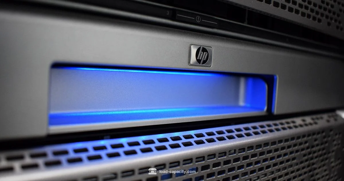 Data Center Load Capacity