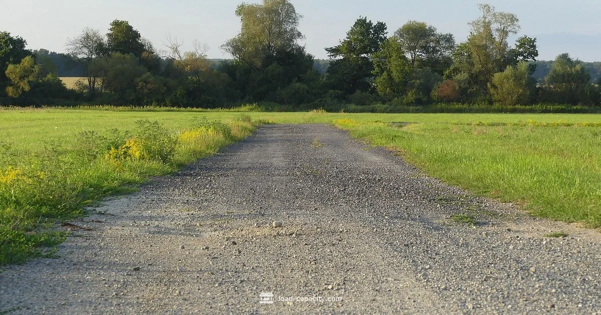 XPulse 210 Load - Load Capacity