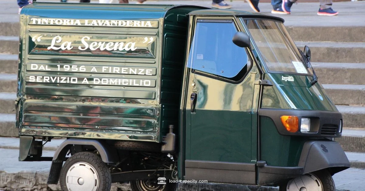 Ape Xtra LDx Payload - Load Capacity