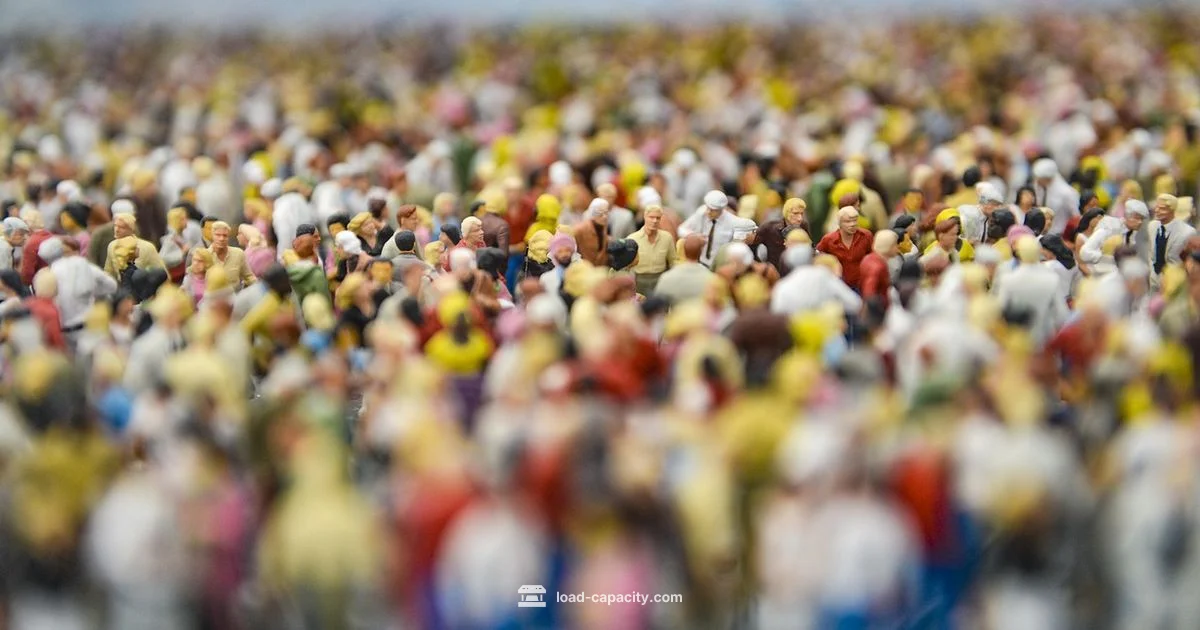 Carrying Capacity - Load Capacity