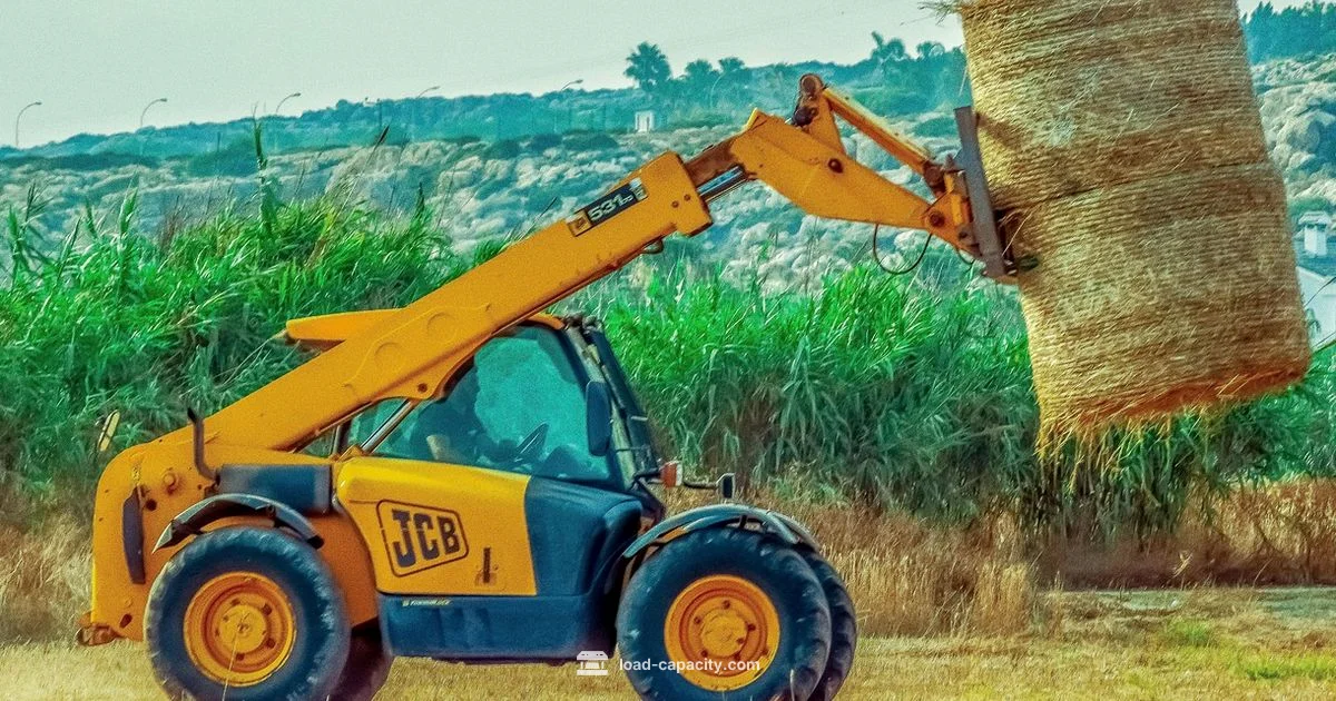 WLL vs Capacity - Load Capacity