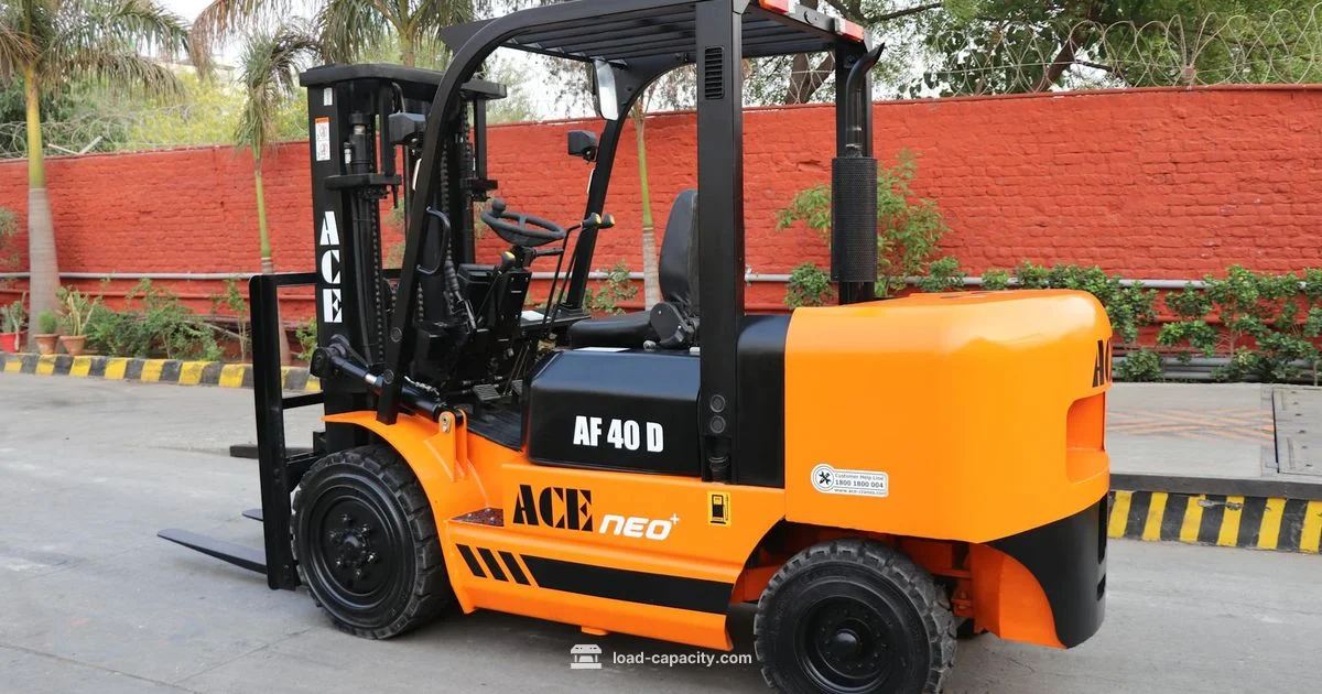 Vertical Load Capacity