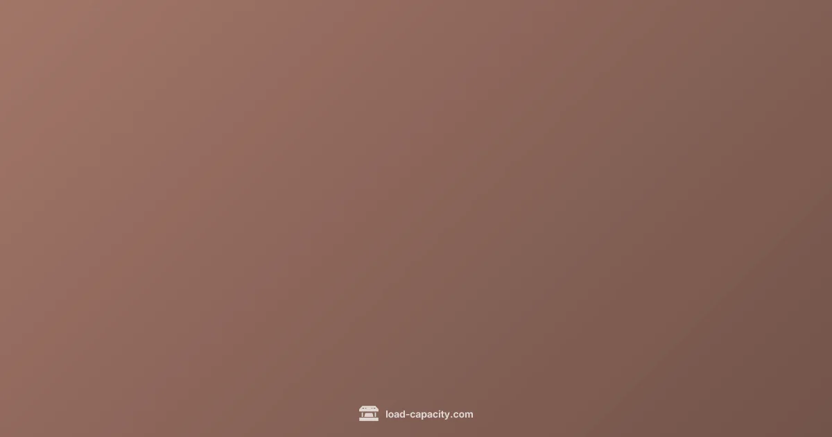 XPulse 210 Payload - Load Capacity (illustration)