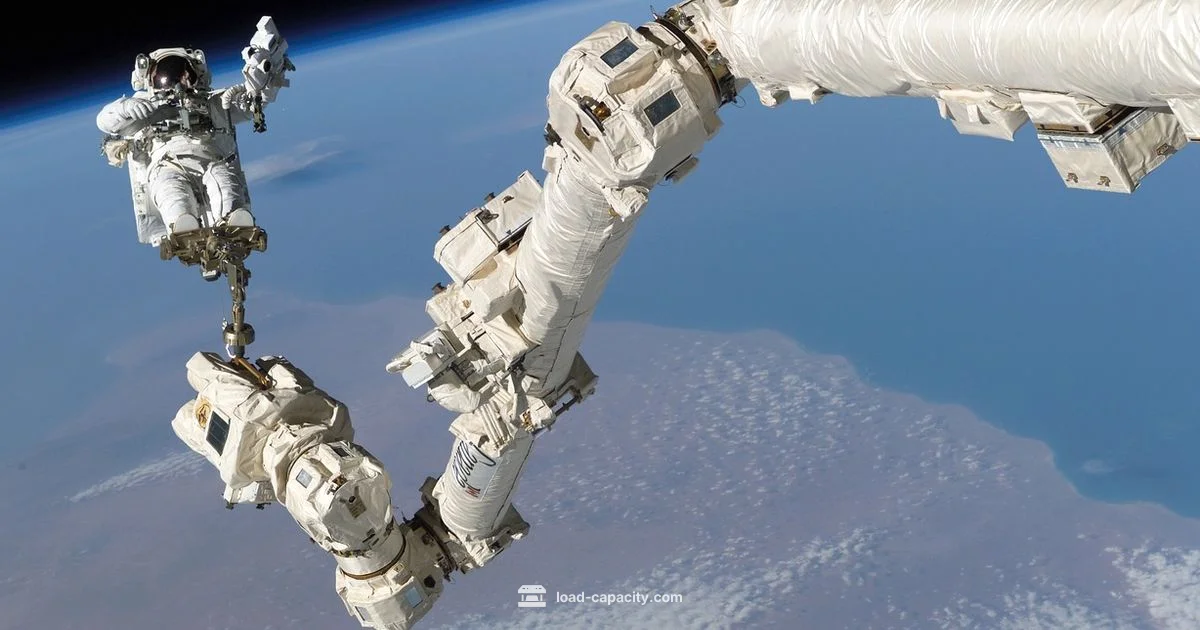 Canadarm2 Load Capacity