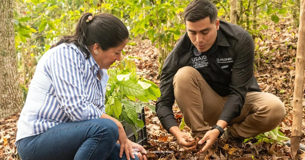 Bearing Capacity - Load Capacity