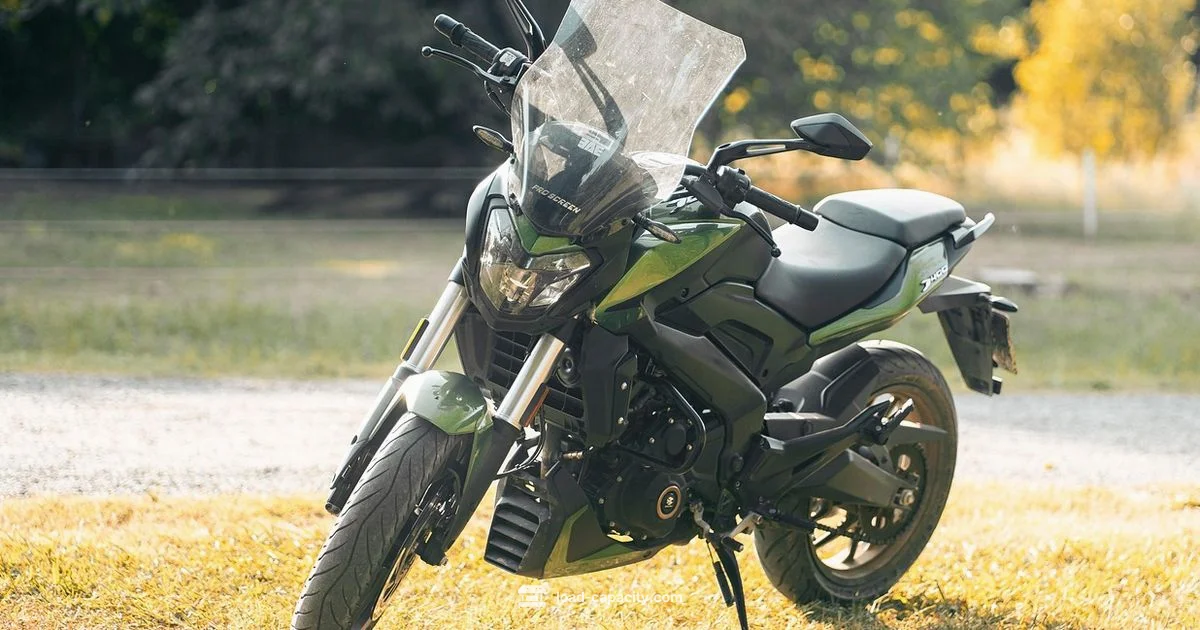 Bajaj Maxima Load Capacity