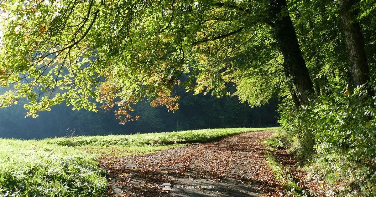 Carrying Capacity Overshoot - Load Capacity