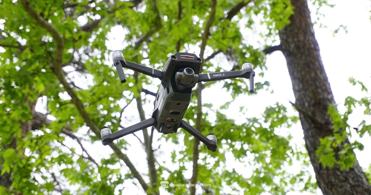 Payload Lab Payload Lab - Load Capacity