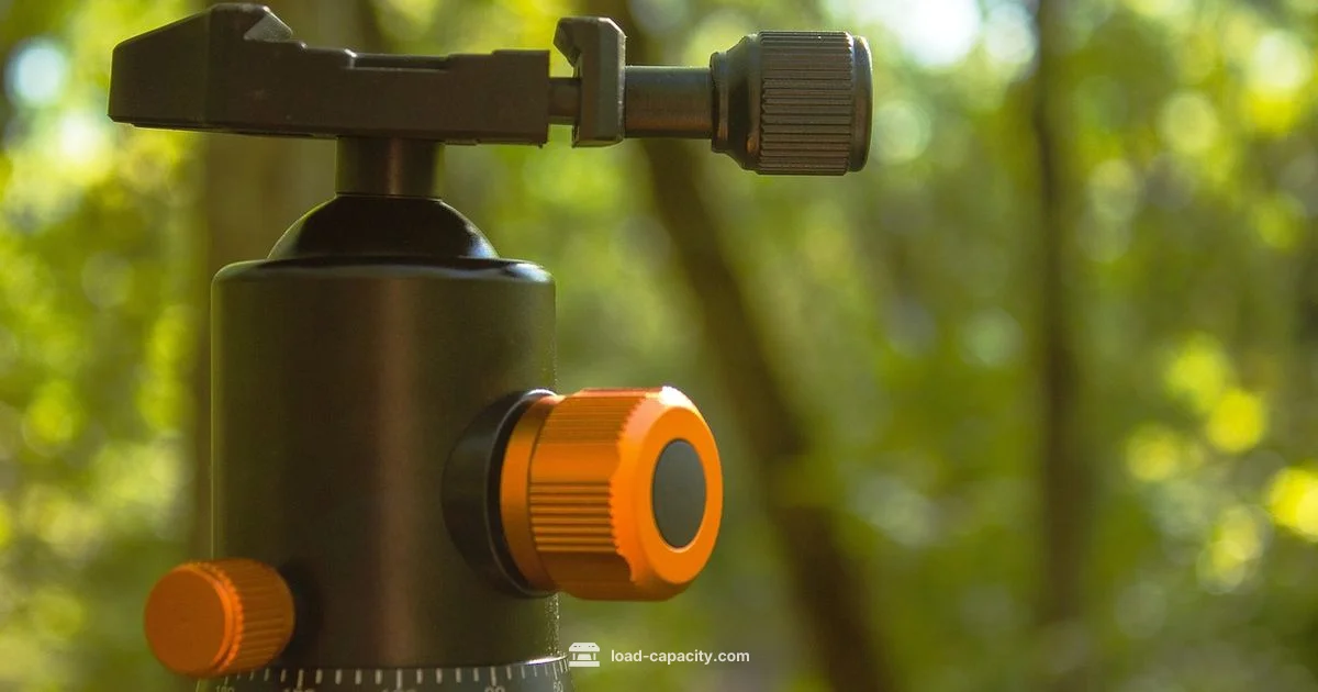 AM5 Payload Guide AM5 Payload Guide - Load Capacity