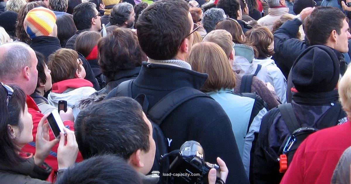 Carrying Capacity vs Equilibrium Carrying Capacity vs Equilibrium - Load Capacity