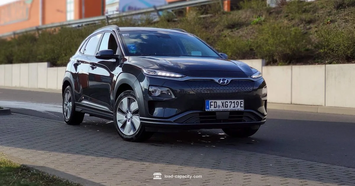 Eon Payload - Load Capacity