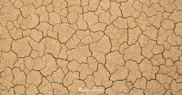 Bearing vs Settlement - Load Capacity