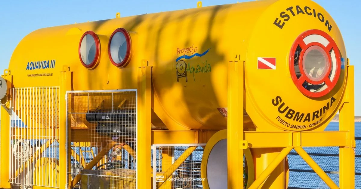 Dynamic vs Static - Load Capacity