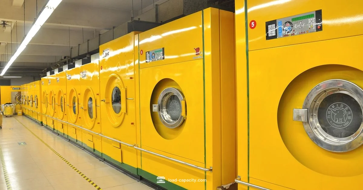 Haier 10 kg Top-Load Haier 10 kg Top-Load - Load Capacity