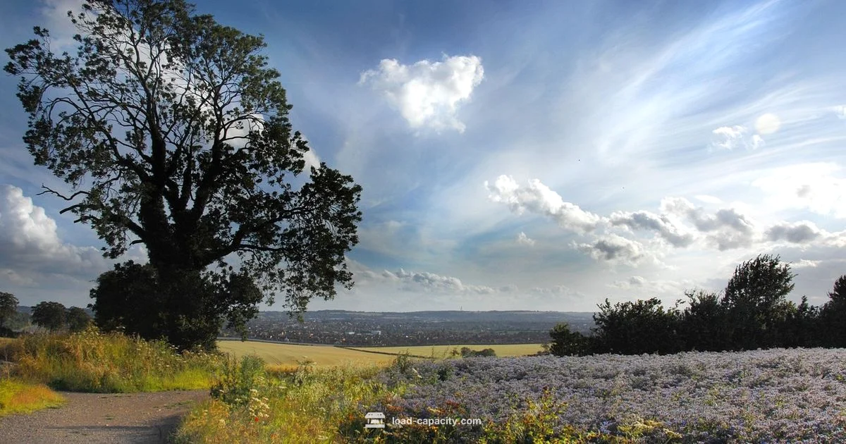 Luton Van Payload - Load Capacity