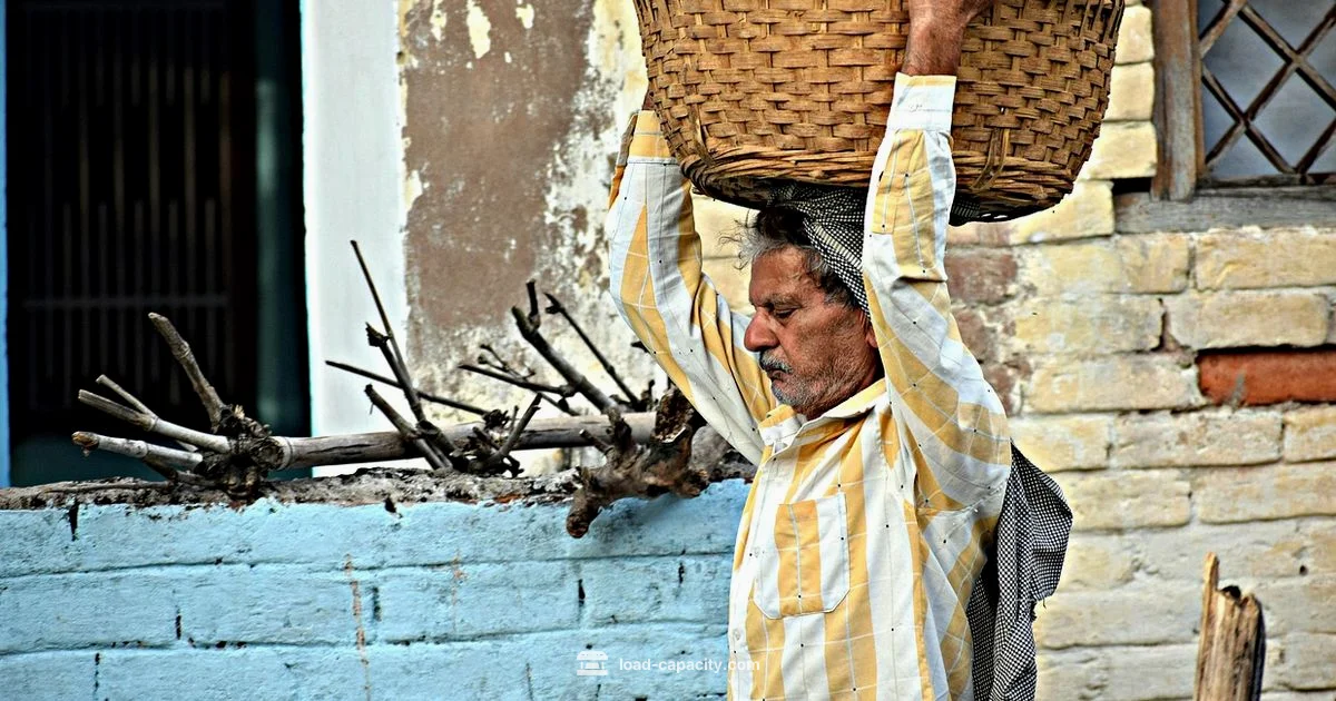 Carrying Capacity - Load Capacity