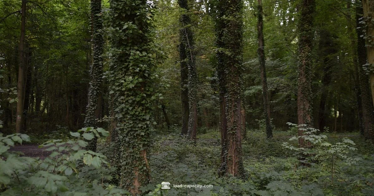 Carrying Capacity Snapshot Carrying Capacity Snapshot - Load Capacity