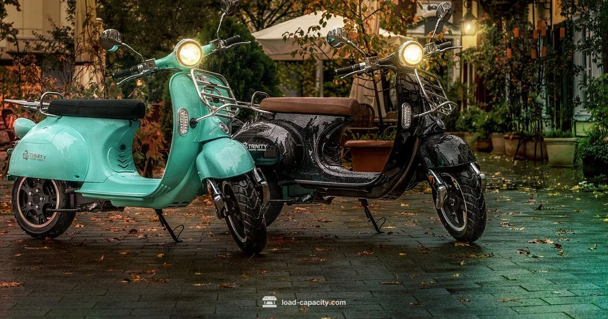 Ola S1 Pro Load - Load Capacity