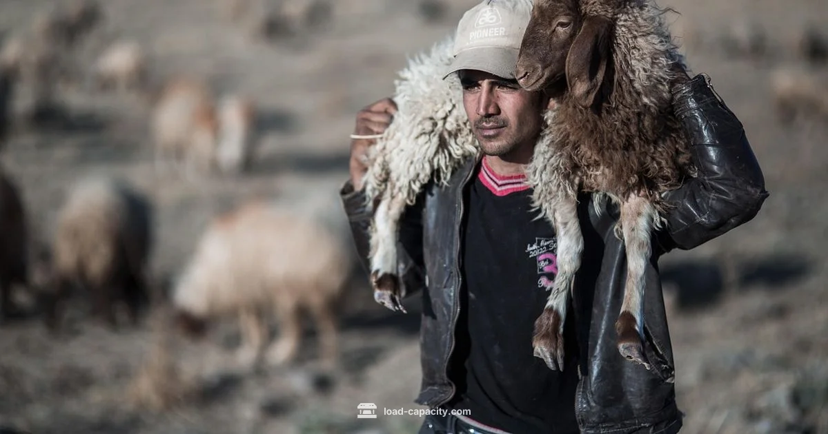 Carrying Capacity - Load Capacity