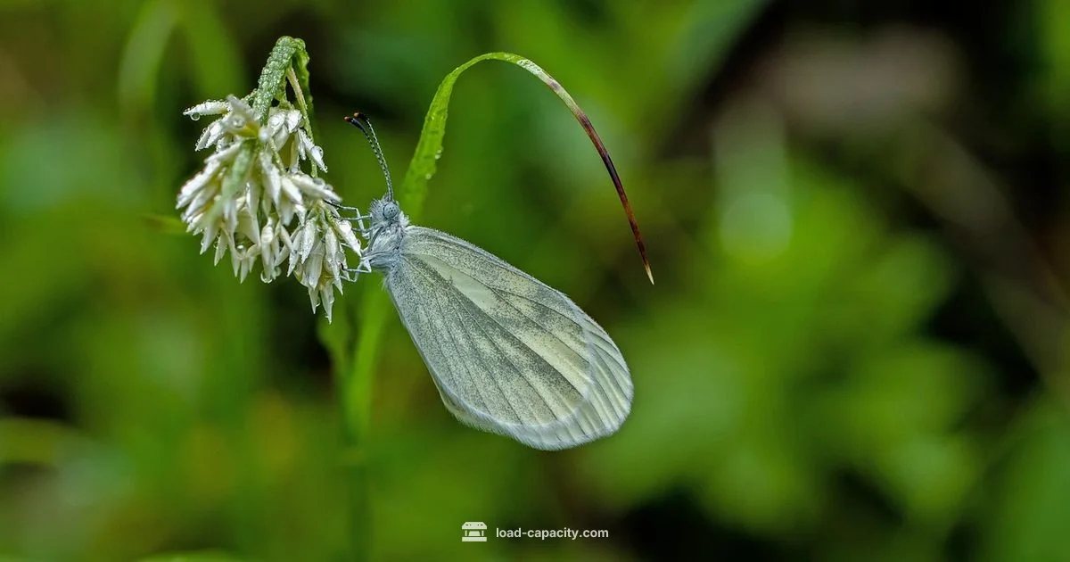 Endless Sling Guide - Load Capacity