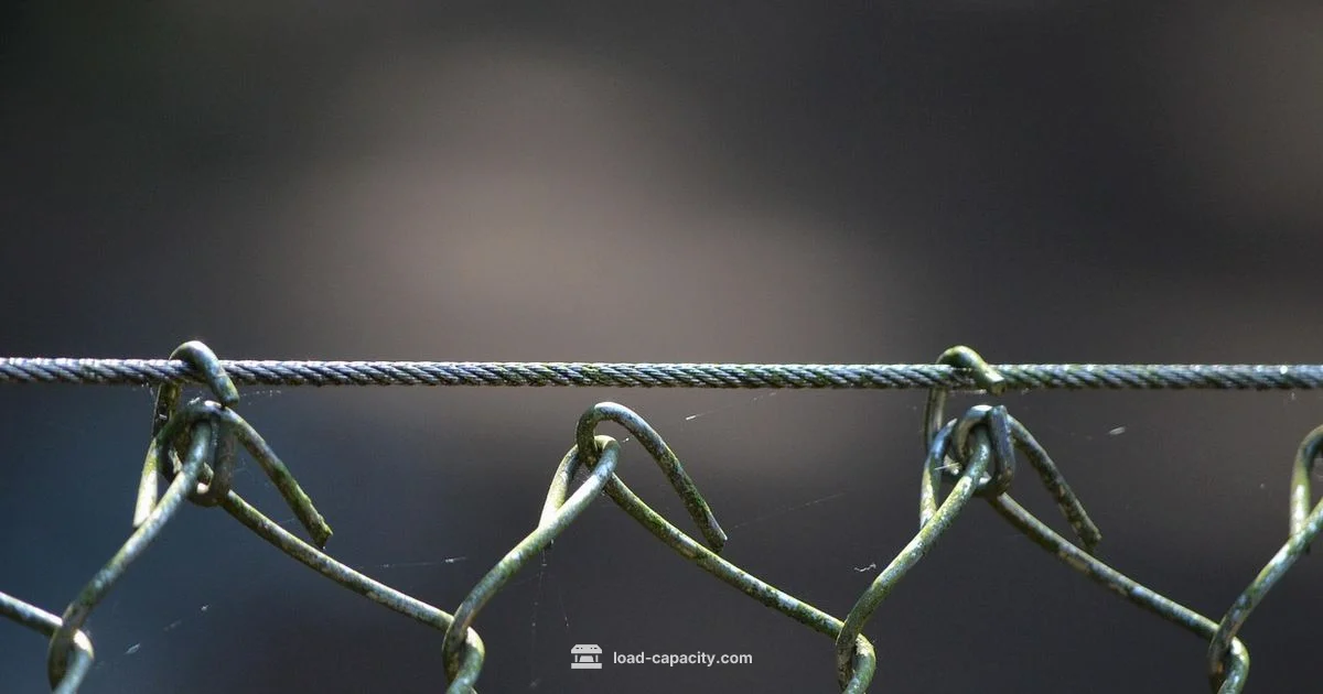 Capacity Essentials Capacity Essentials - Load Capacity